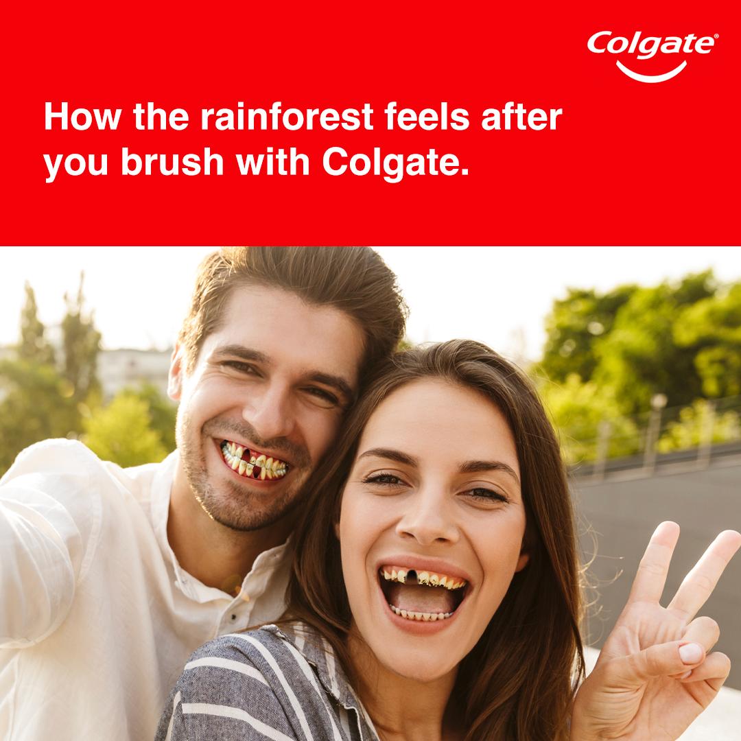 Baby orangutan looking at you.