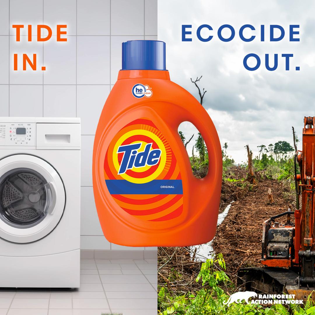 Tide A Bad Product Rainforest Action Network Fighting For People tide-a-bad-product-rainforest-action-network-fighting-for-people