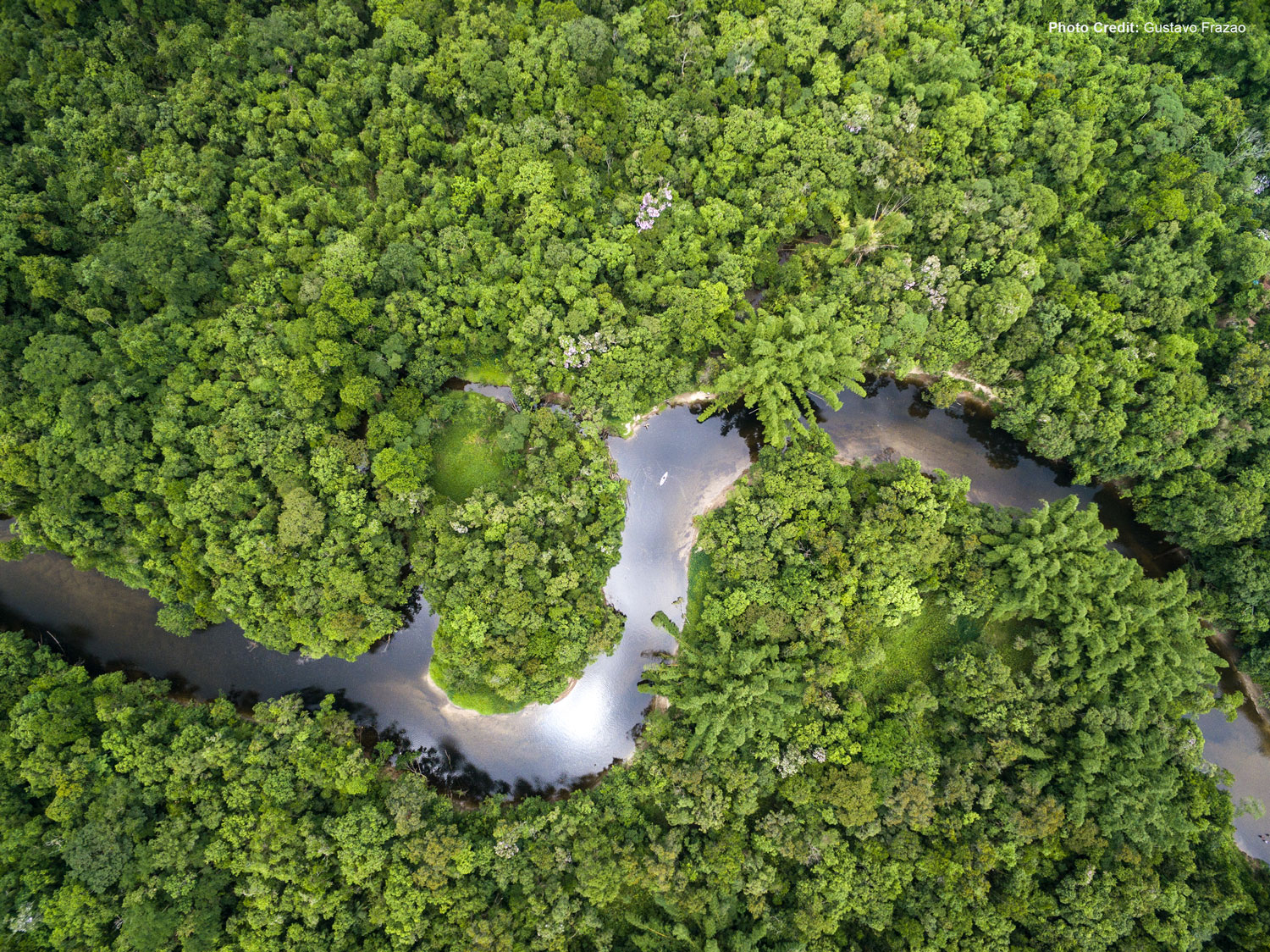 Amazon rainforest from an aerial view