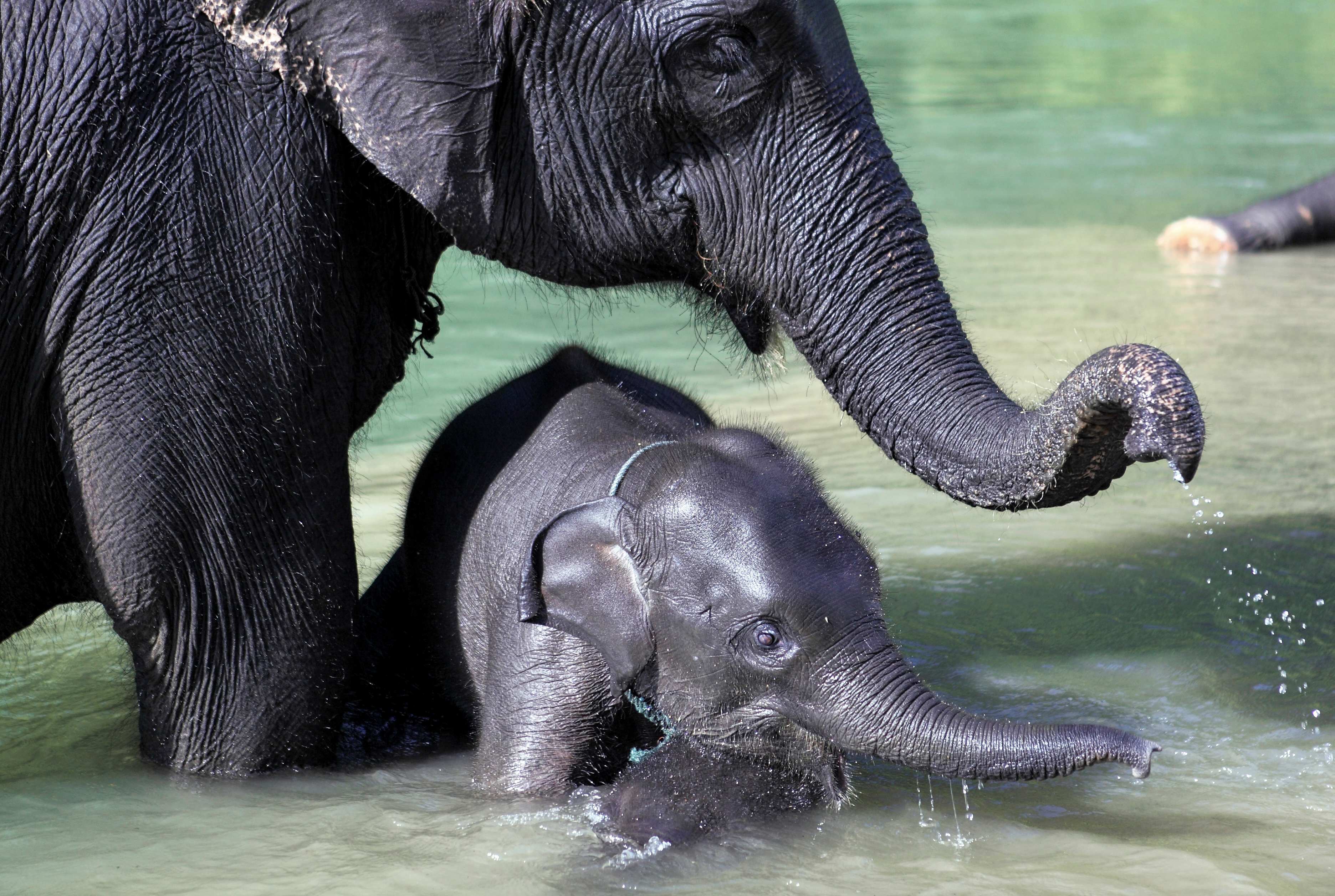 Photo by Paul Hilton