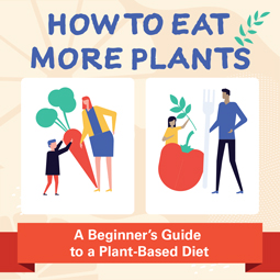 Beginner’s Guide to a Plant-Based Diet