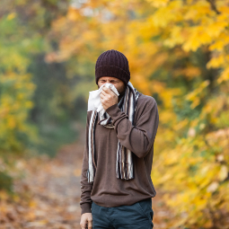 Fall Allergy Tips