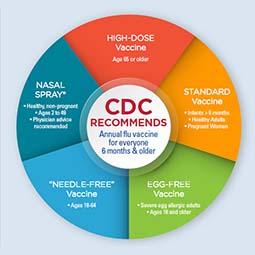 Which Flu Shot Is Best?