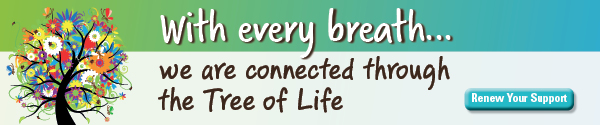 With every breath ... we are connected through the Tree of Life | Renew Your Support