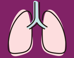 Lung infographic