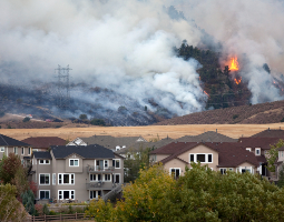 Wildfire smoke