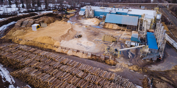 Graphic of images from the June 10 Day of Action