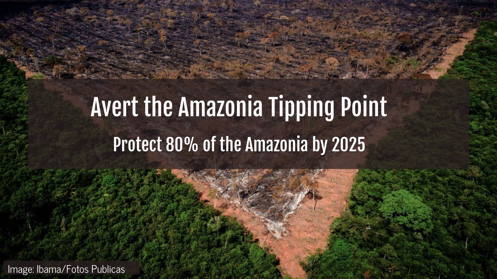 Deforested area in the Amazon with white text that reads, "Avert the Amazonia Tipping Point. Protect 80% of the Amazonia by 2025."