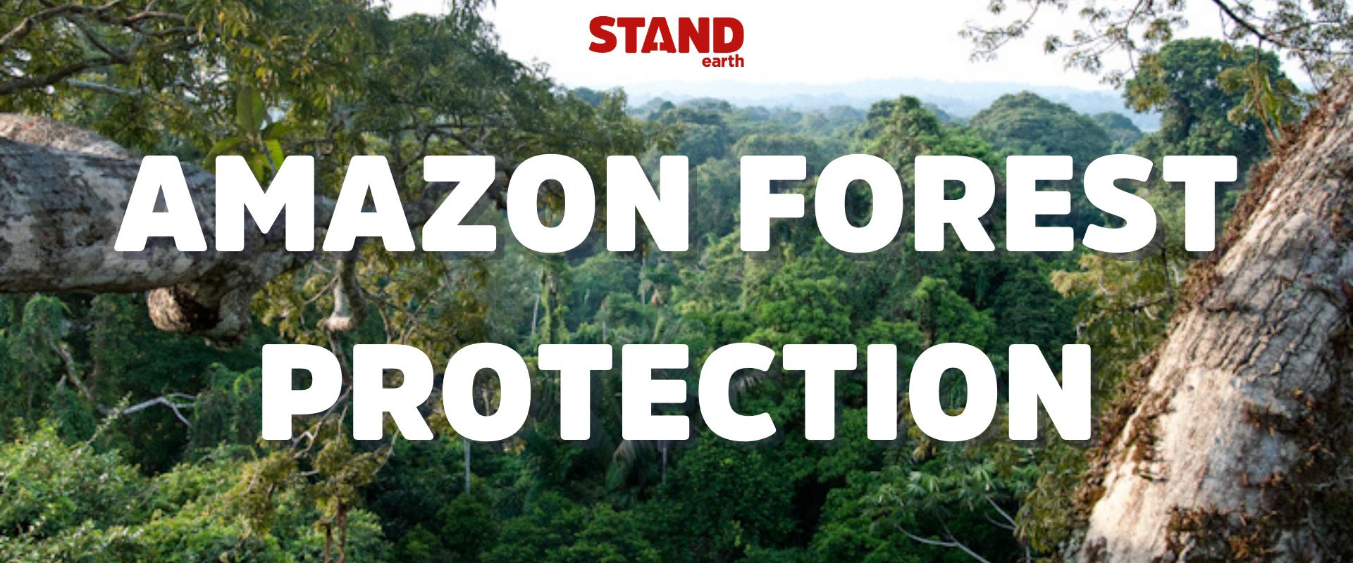 Overview of the Amazon rainforest, with white bold text reading, "Amazon Forest Protection" in the center and above it is the Stand logo in red.