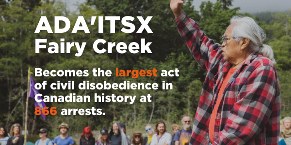 Elder Bill Jones with text reading that Ada'itsx (Fairy Creek) has become the largest act of civil disobediece in Canada