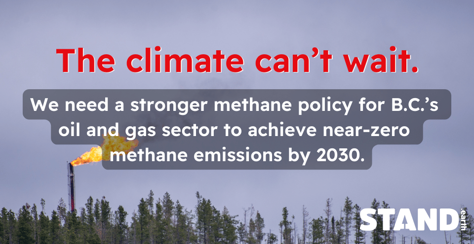 Methane Protector B.C. Needs a Stronger Methane Reduction Policy for the Oil and Gas Sector