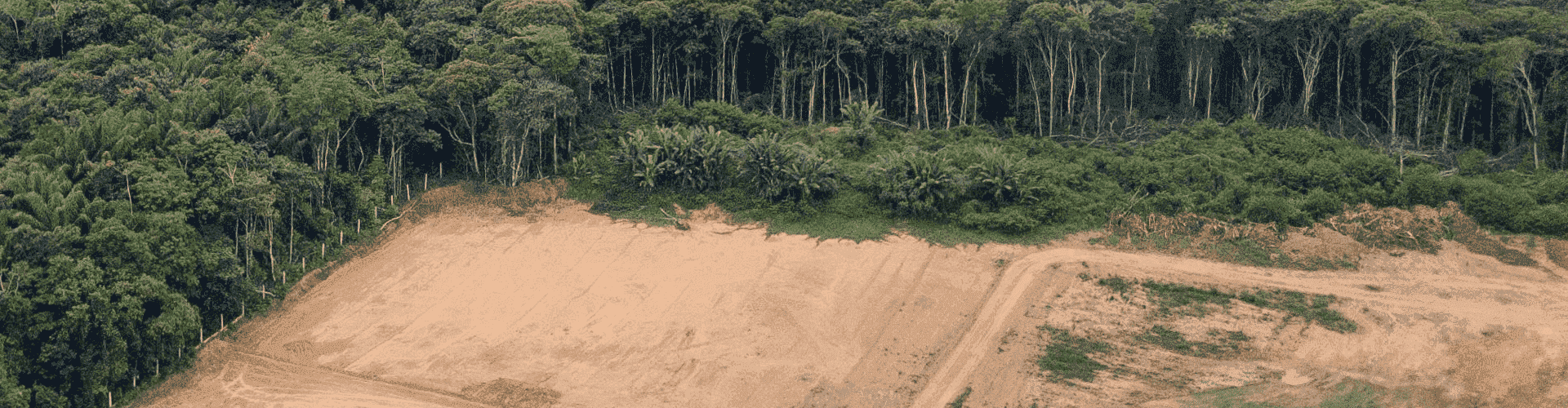 Aerial view of deforestation of Amazon rainforest. Forest trees destroyed to open land for commercial area.