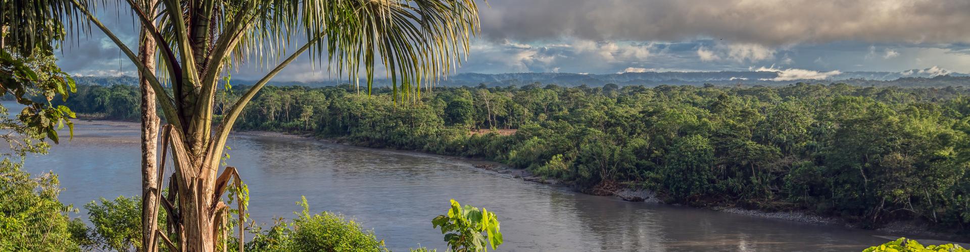 Photo of the Amazon river