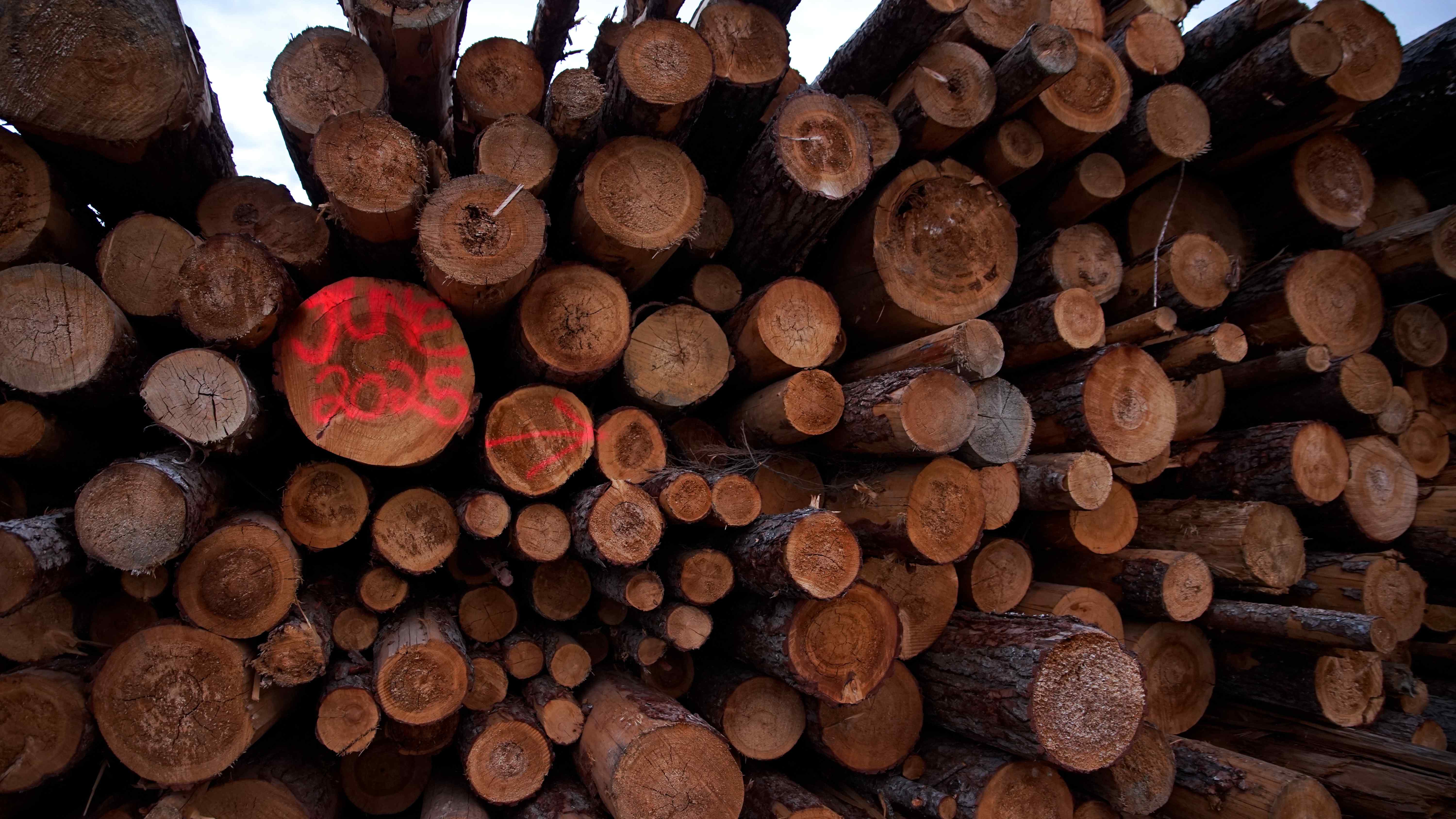 Image of stacked cut logs