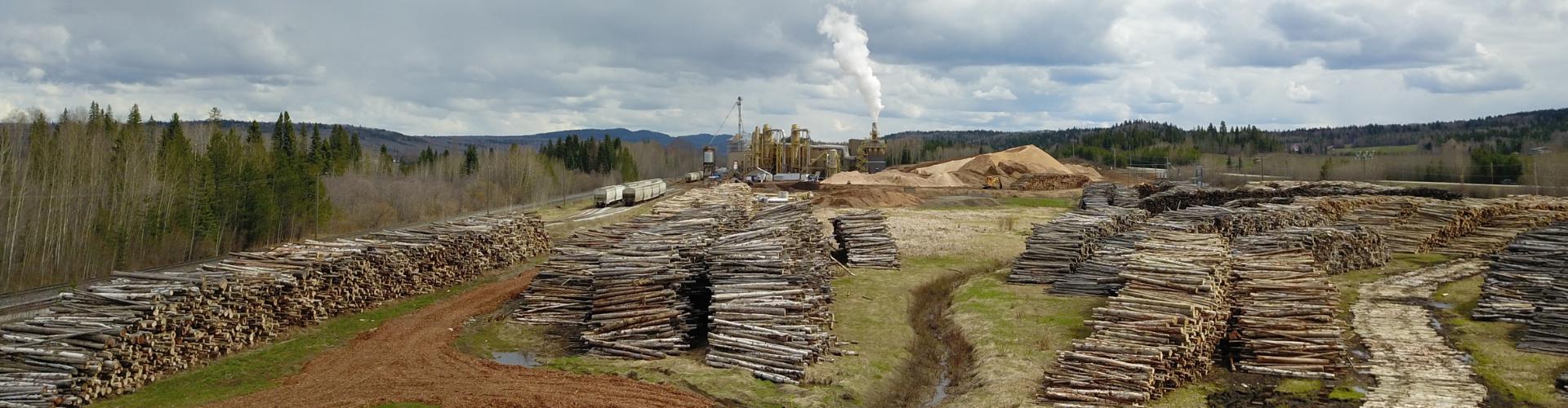 Drax' Medowbank pellet plant and log yard in Northern B.C. close to Quesnel full of whole trees about to be turned into pellets