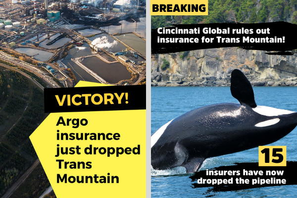 IMAGE DESCRIPTION HERE