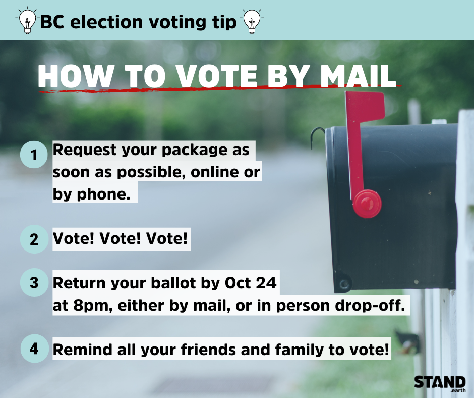 IMAGE DESCRIPTION HERE