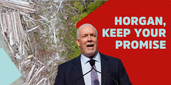 Horgan keep your promise