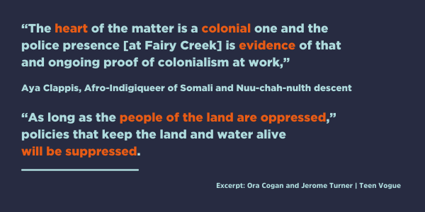 Quote about the connection between Fairy Creek and police violence as ongoing colonialism.