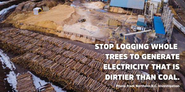 Aerial view of a large wood pellet yard with many whole logs