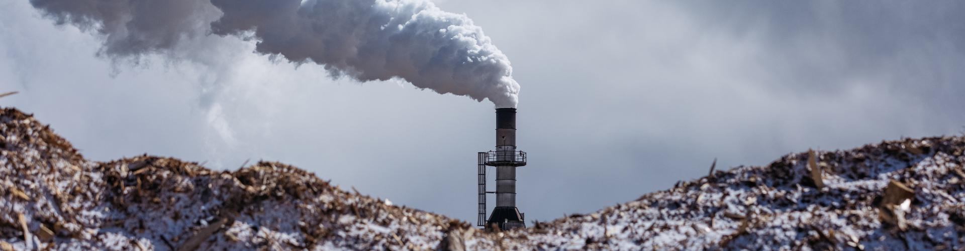 Drax pellet mill in Burns Lake, BC. Plumes of smoke come out of the mill in the background and wood chips are in the foreground.