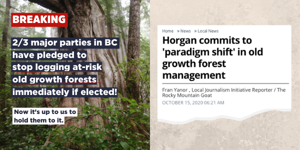 Graphic and newspaper headling showing that the NDP committed to stop logging at-risk old growth