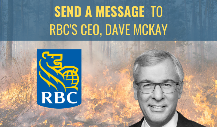 Tell RBC’s CEO David McKay to take the climate crisis seriously