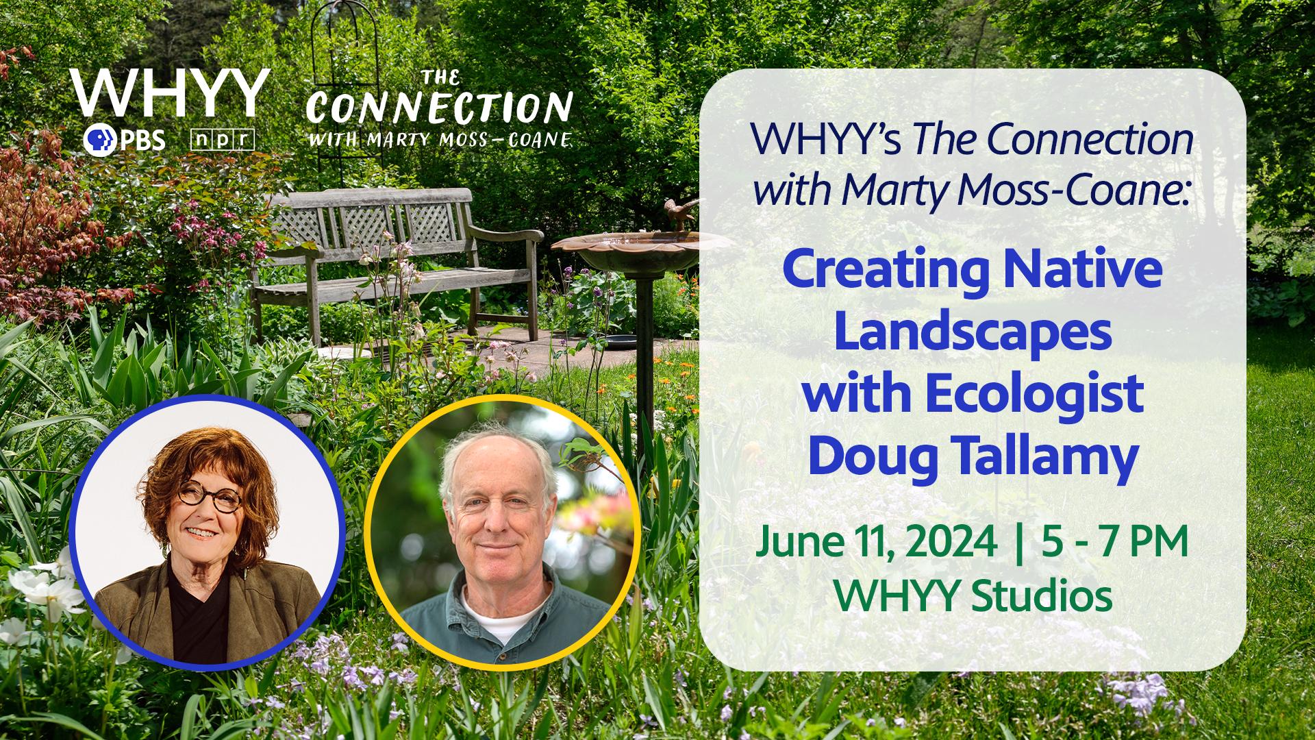 Join Maiken Scott on a geological journey!