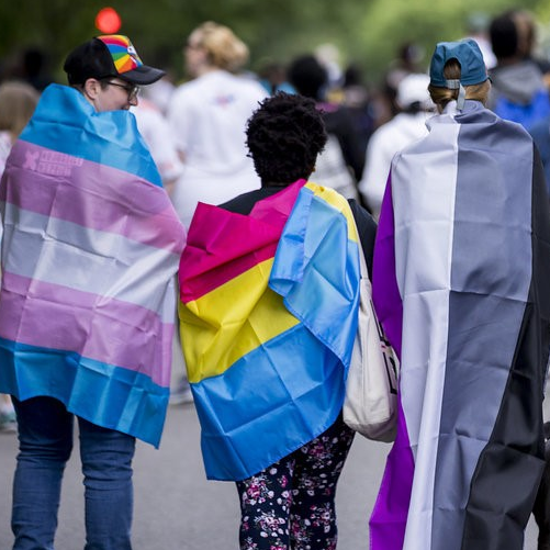 A group of people turned away from the camera with trans, pan, and asexual pride flags draped on their backs.