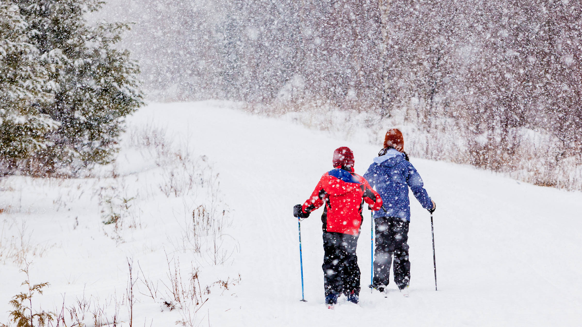 Children playing in the snow