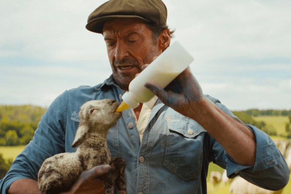 Hugh Jackman in 'The Sheep Detectives'