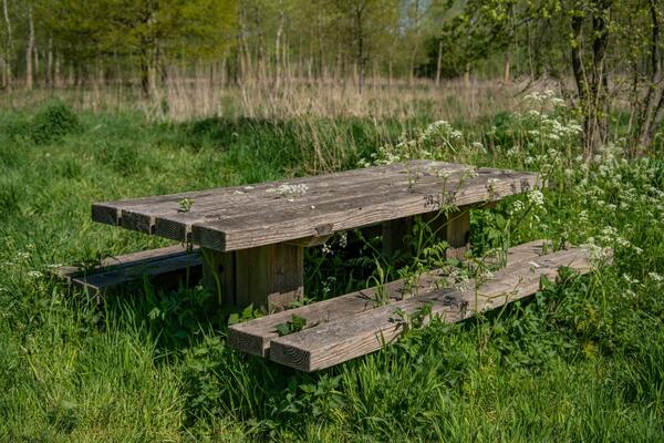 Overgrown table