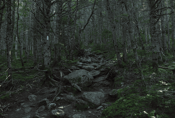 Appalachian Trail
