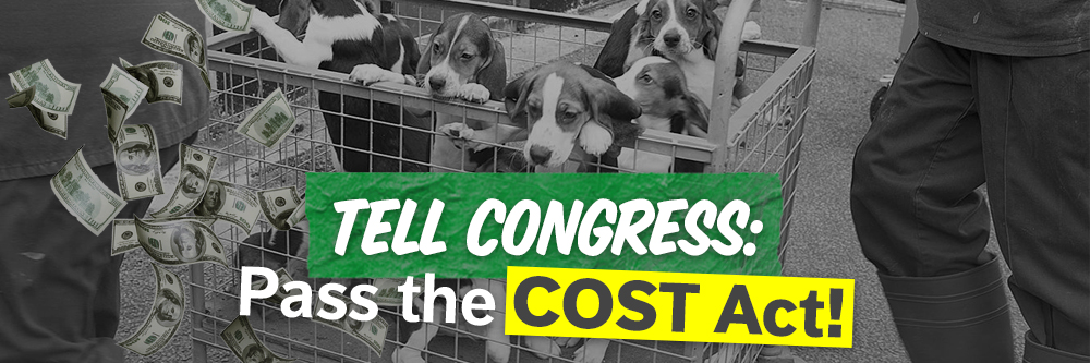 Tell Congress: Pass the COST Act