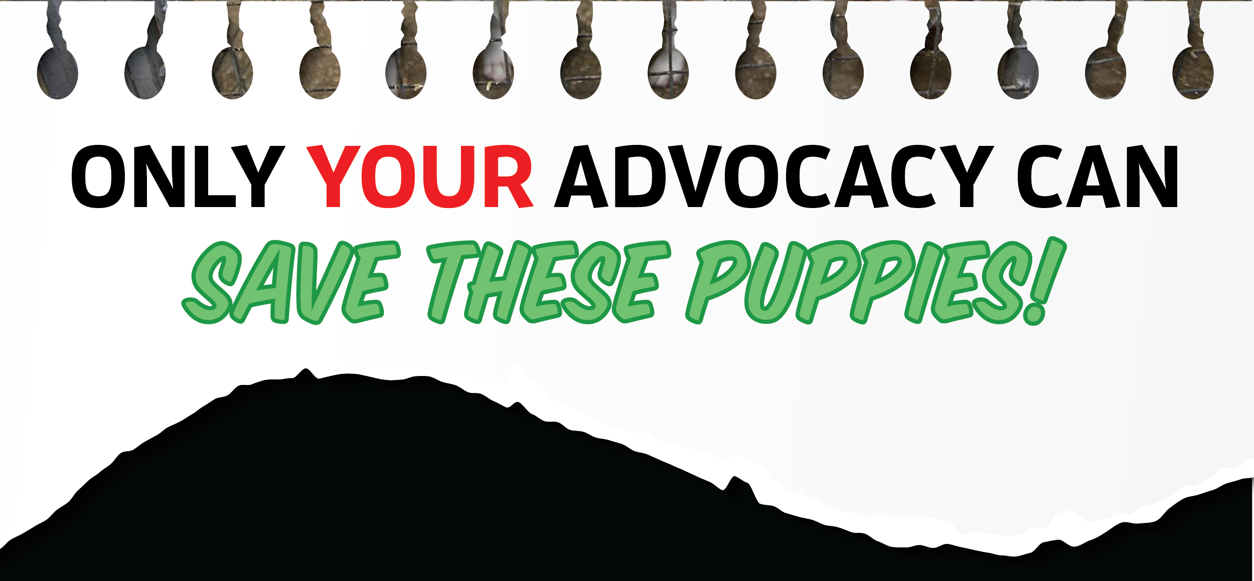 Only your advocacy can save them!