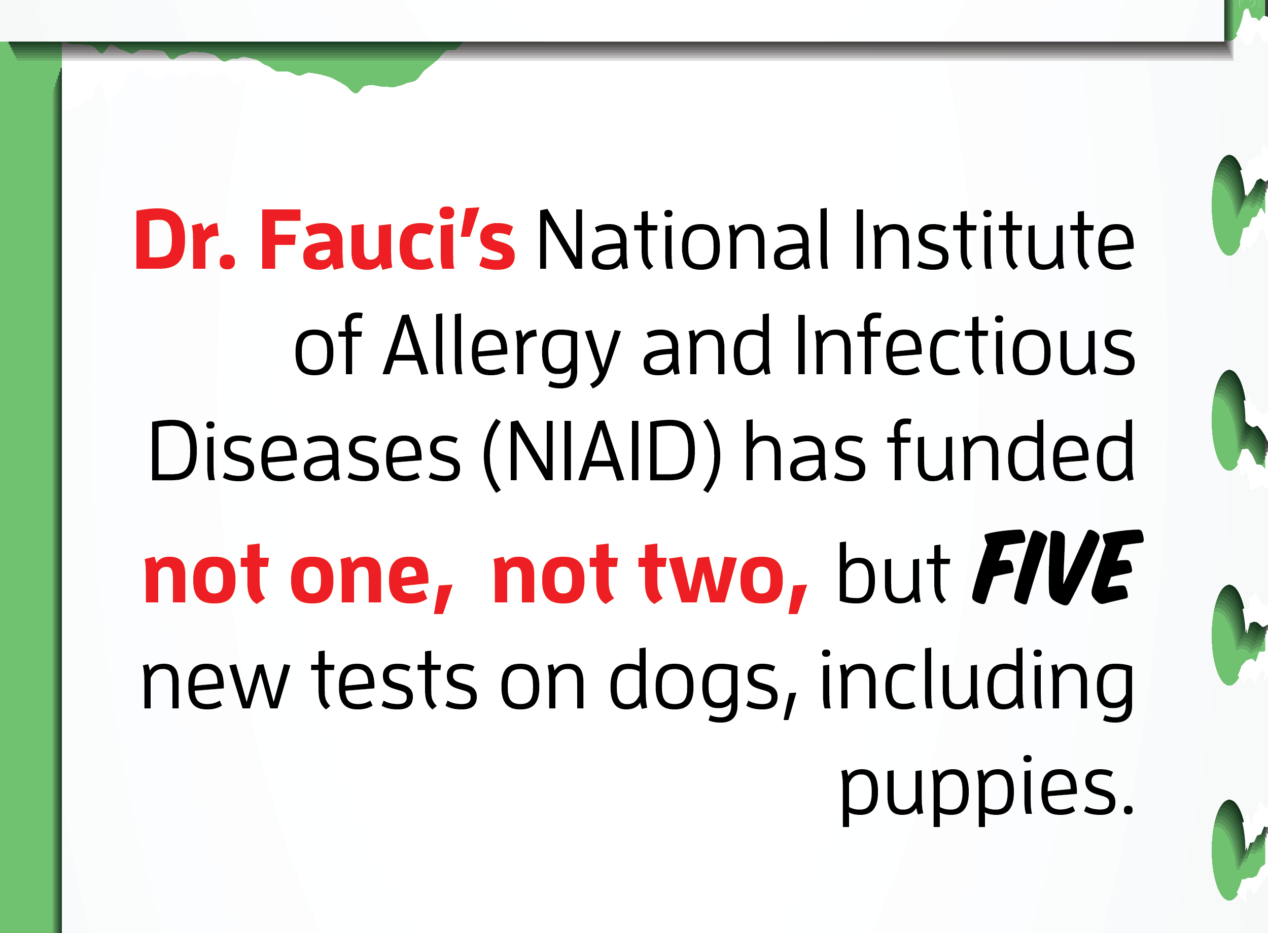 Fauci funded FIVE new puppy experiments