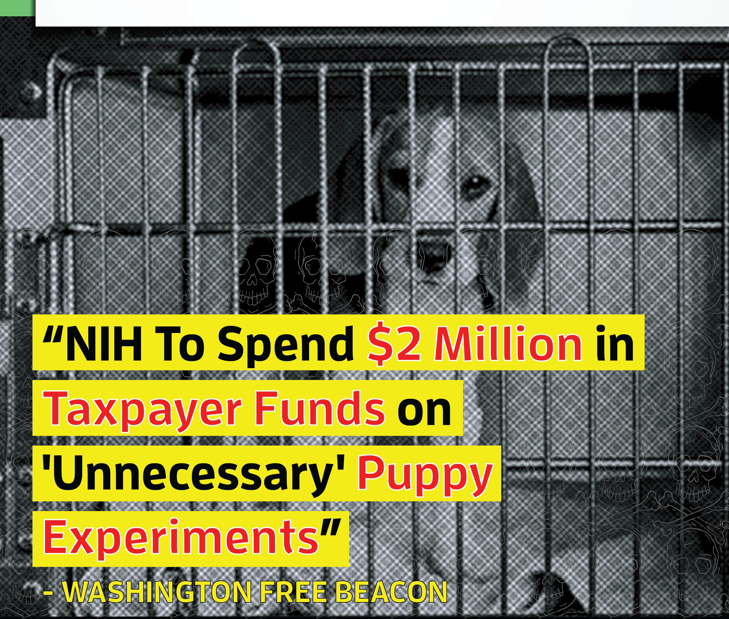 NIH to spend $2 million…