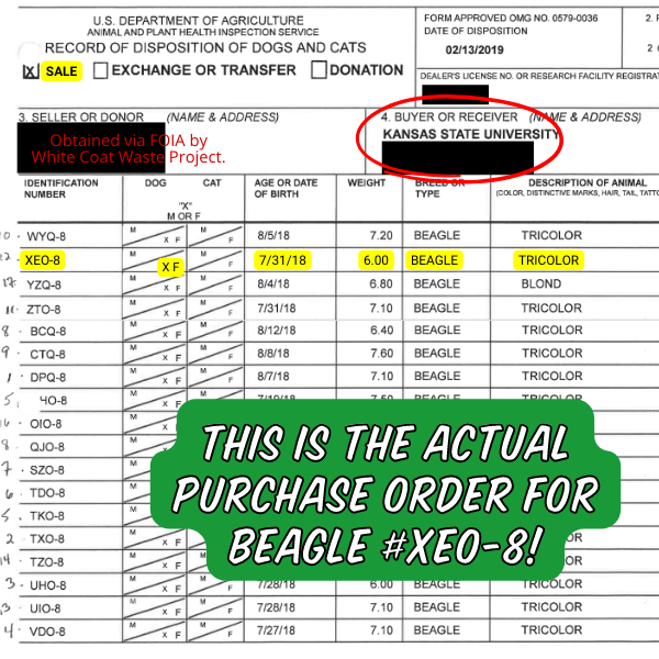 Actual purchase order