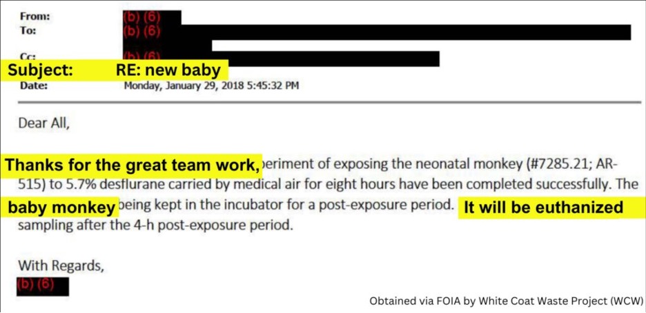 Screenshot of disturbing FDA email 