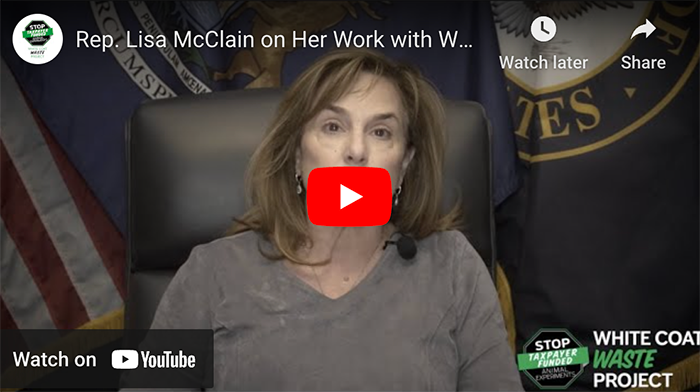 Rep Lisa McClain Youtube Video