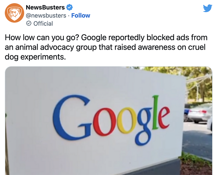 Google reportedly blocked ads from an animal advocacy group that raised awareness on cruel dog experiments