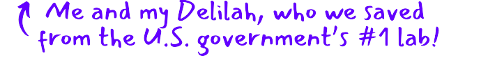 Add an ALT tag