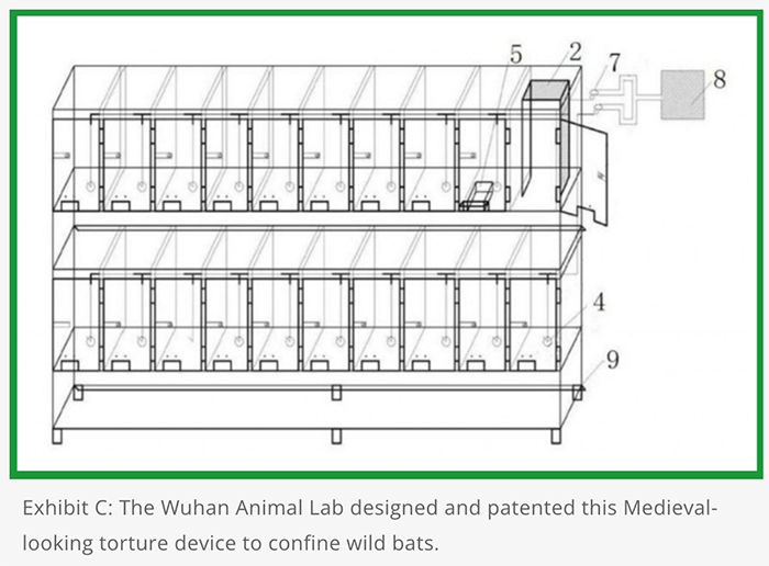 the design of the small cages used to confine wild bats at the labs