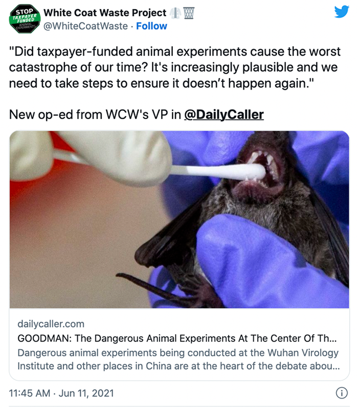 tweet from WCW with an image of a qtip in a bats mouth