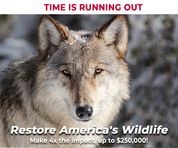 Restore America's Wildlife