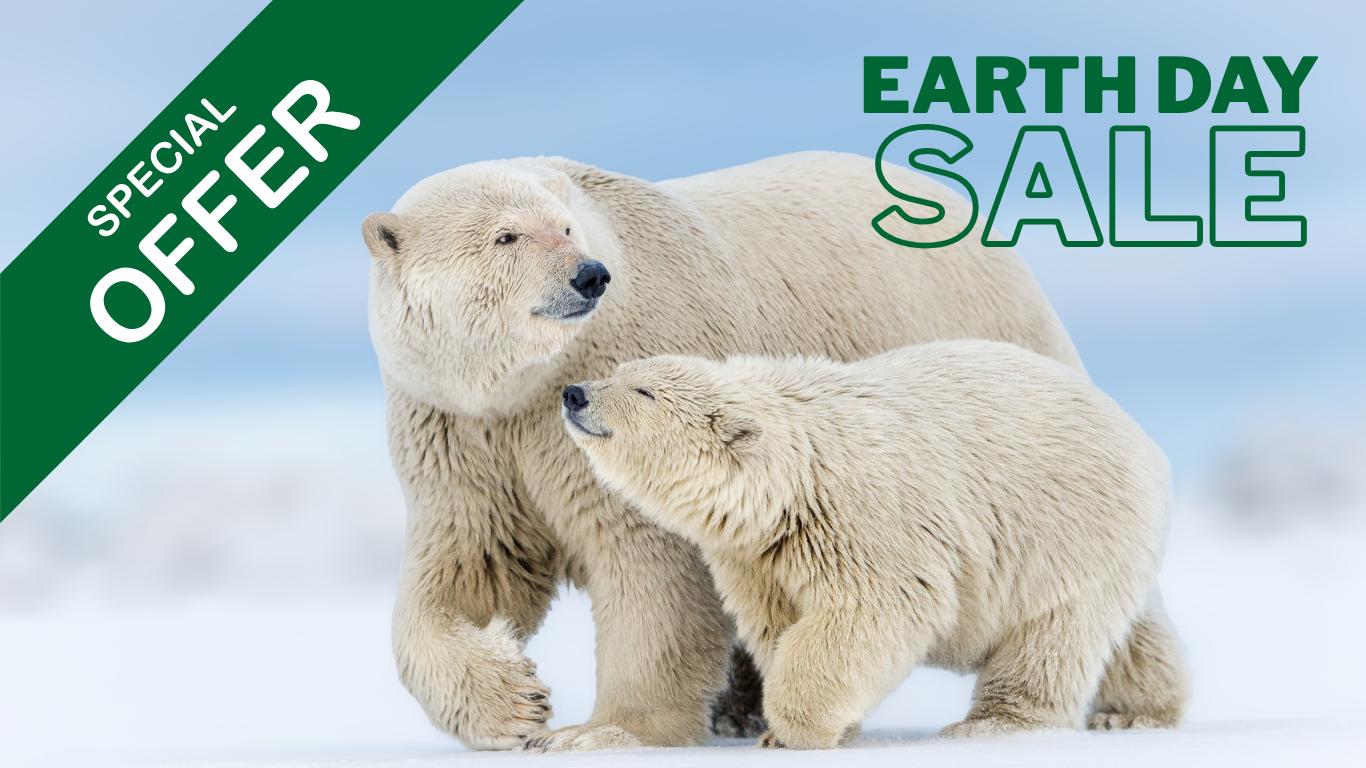 Polar Bear Mother With Cub © Debbie Tubridy/© 2015 TNWA Photography