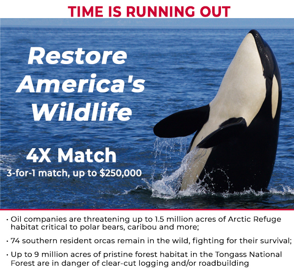 Restore America's Wildlife