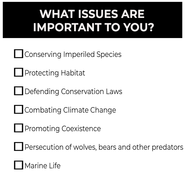 What issues are important to you?