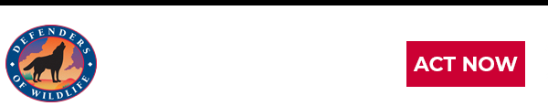 logo header with donate button