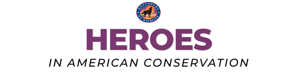 logo header with donate button